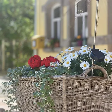 Kleine Auszeit - Raum Für Ruhe Und Neue Energie Apartment
